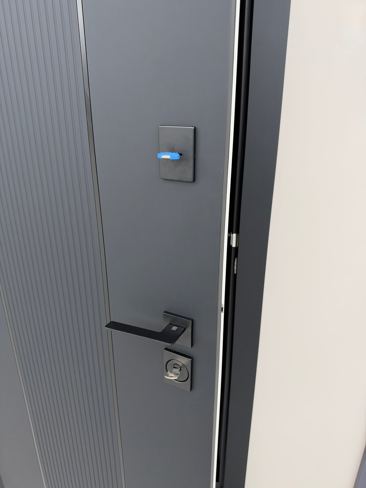 Ușă Exterior Vector Molding Negru/Alb