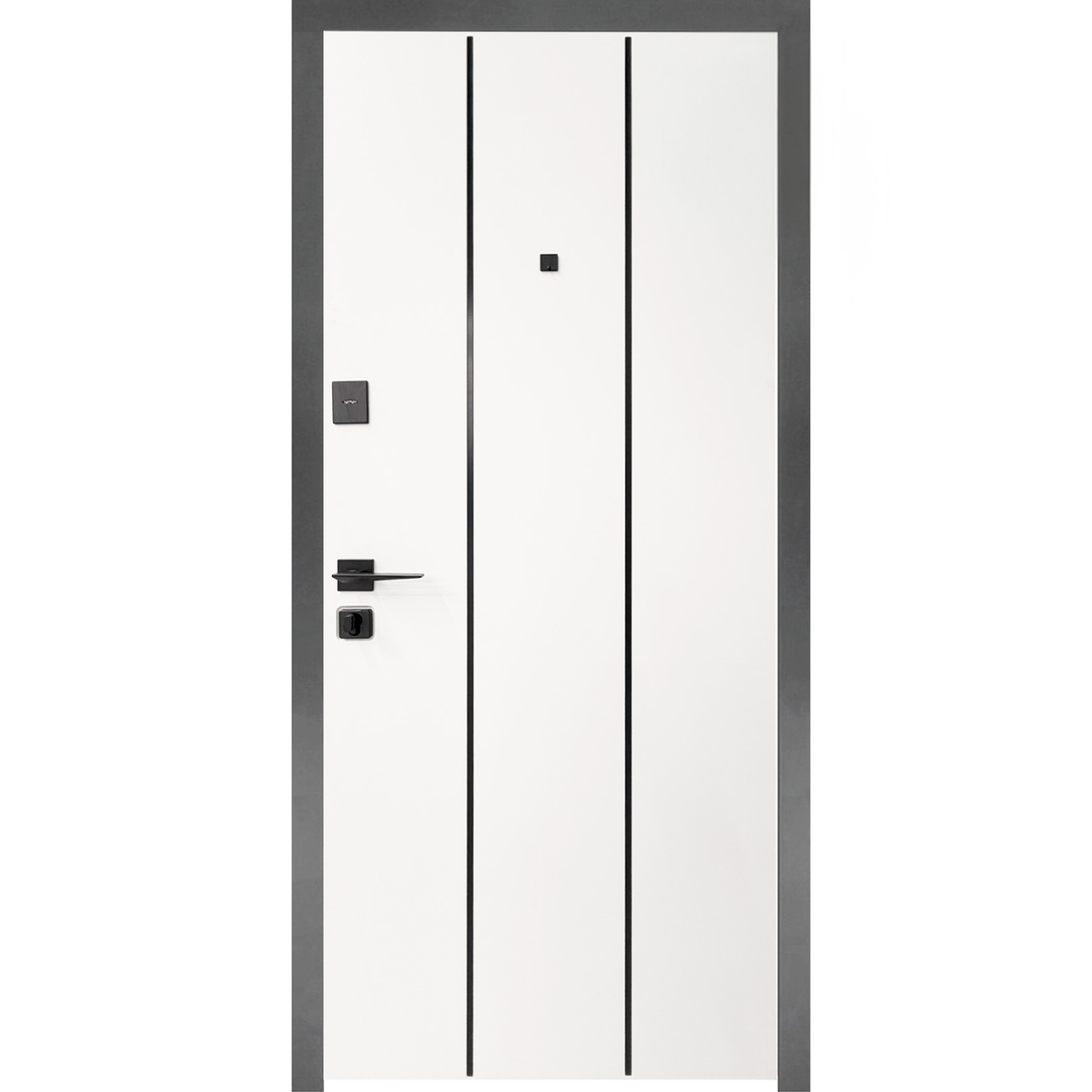 Ușă Exterior Monro Negru/Alb